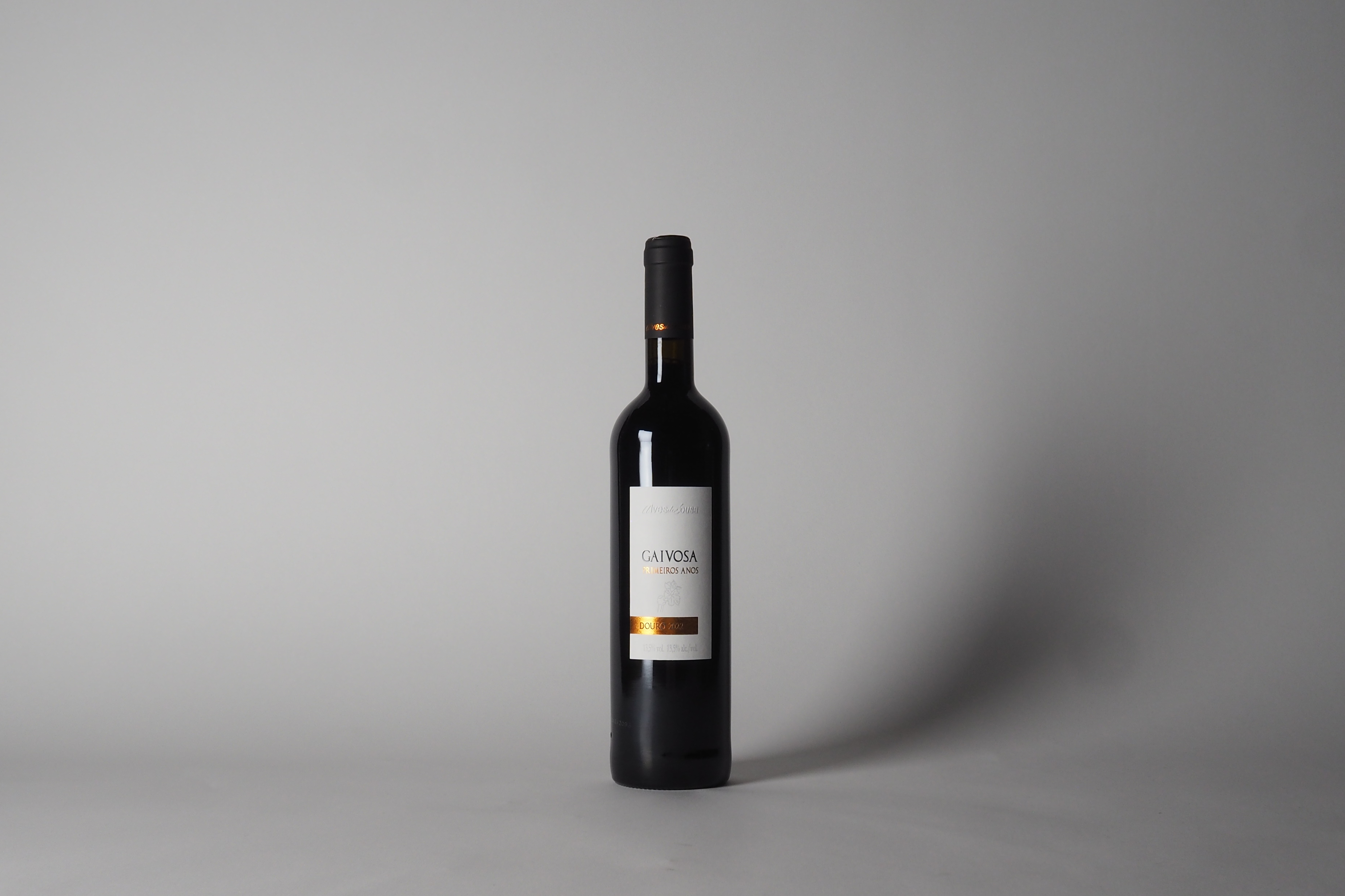 Gaivosa PRIMEIROS ANOS 2022