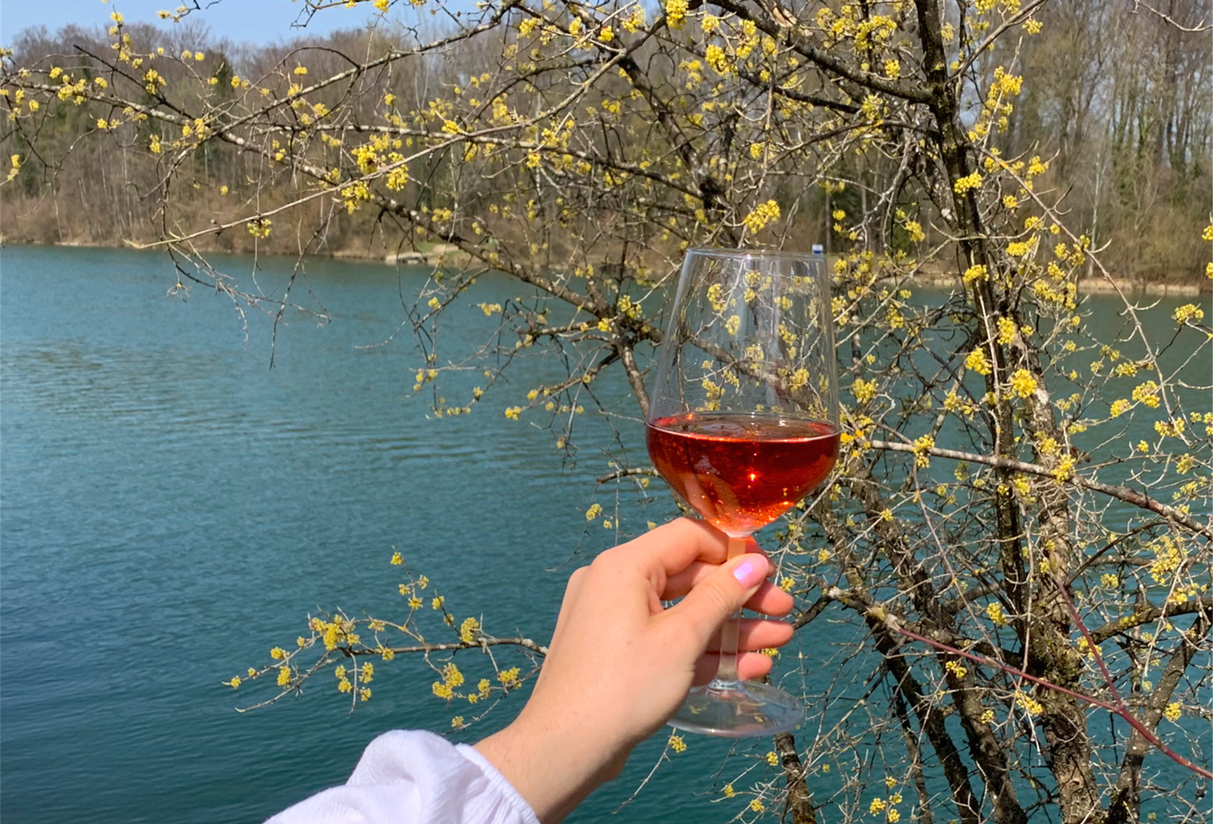 www.vintag67.ch_Magazin_Rose