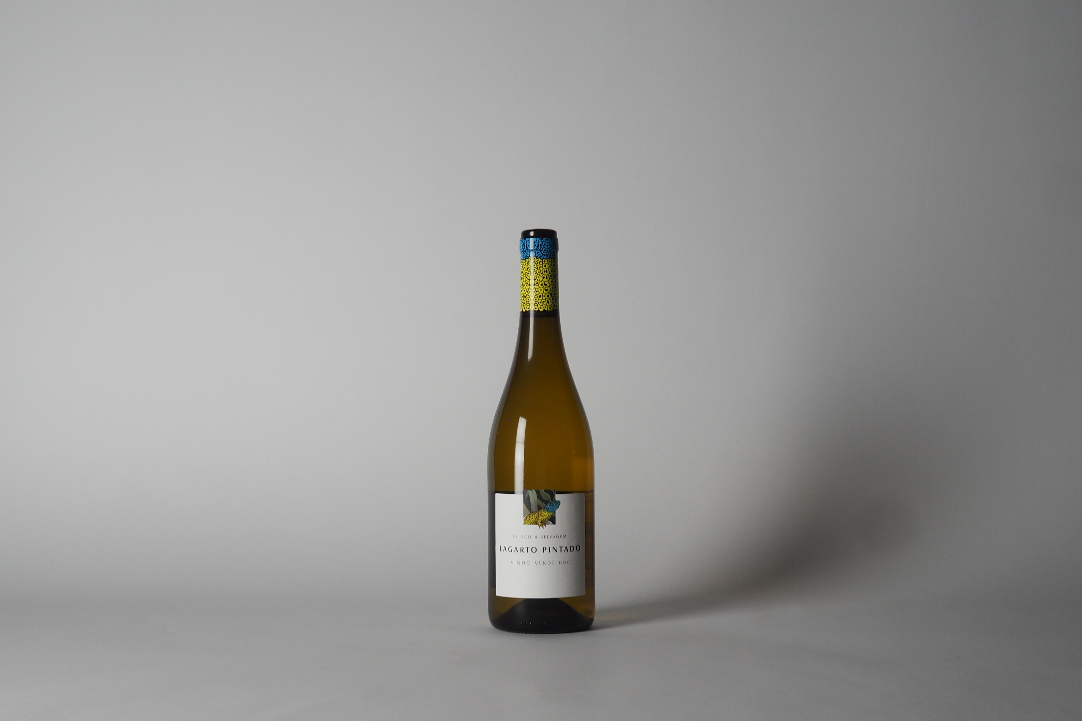 Lagarto Pintado 2025