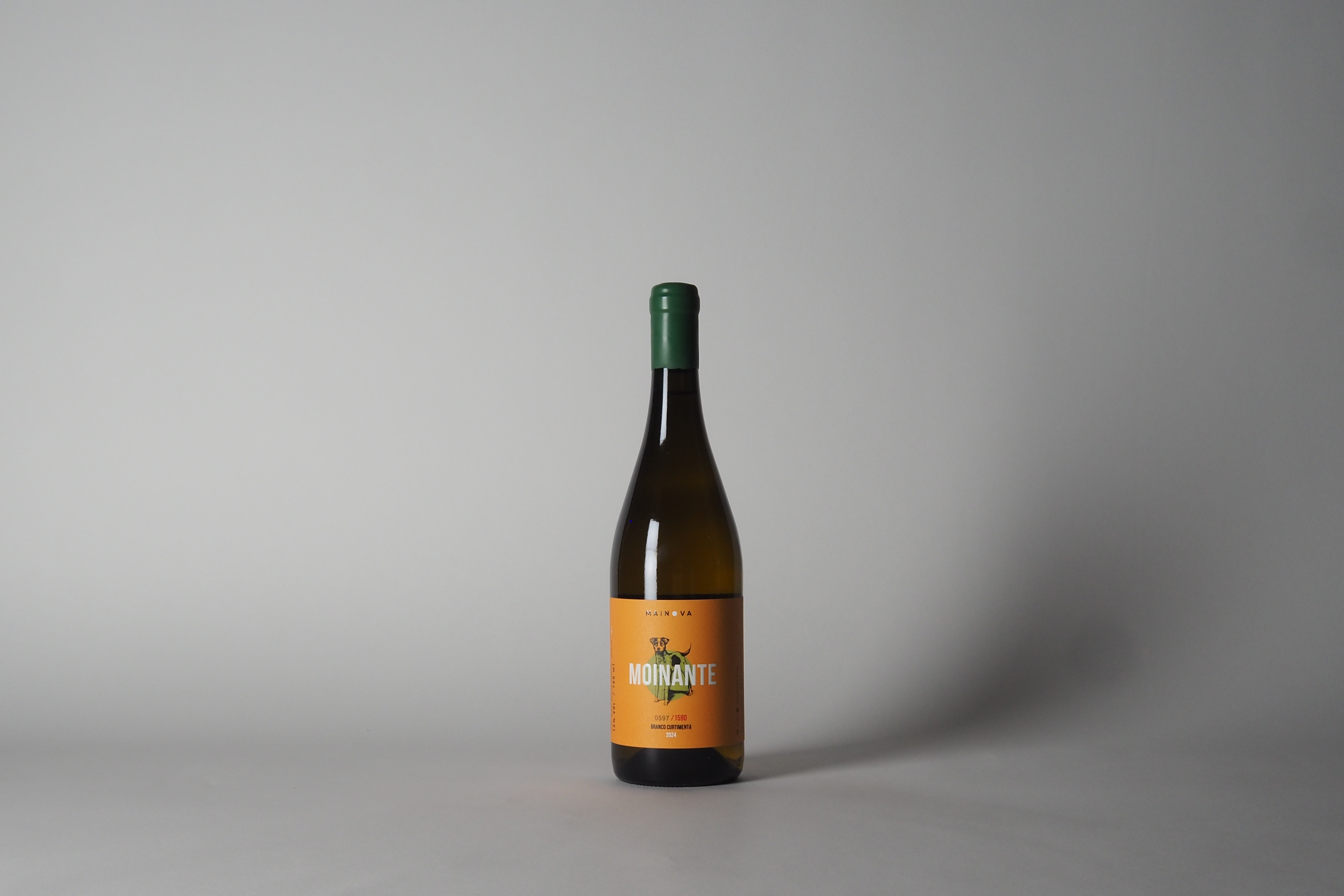 Moinante CURTIMENTA 2024