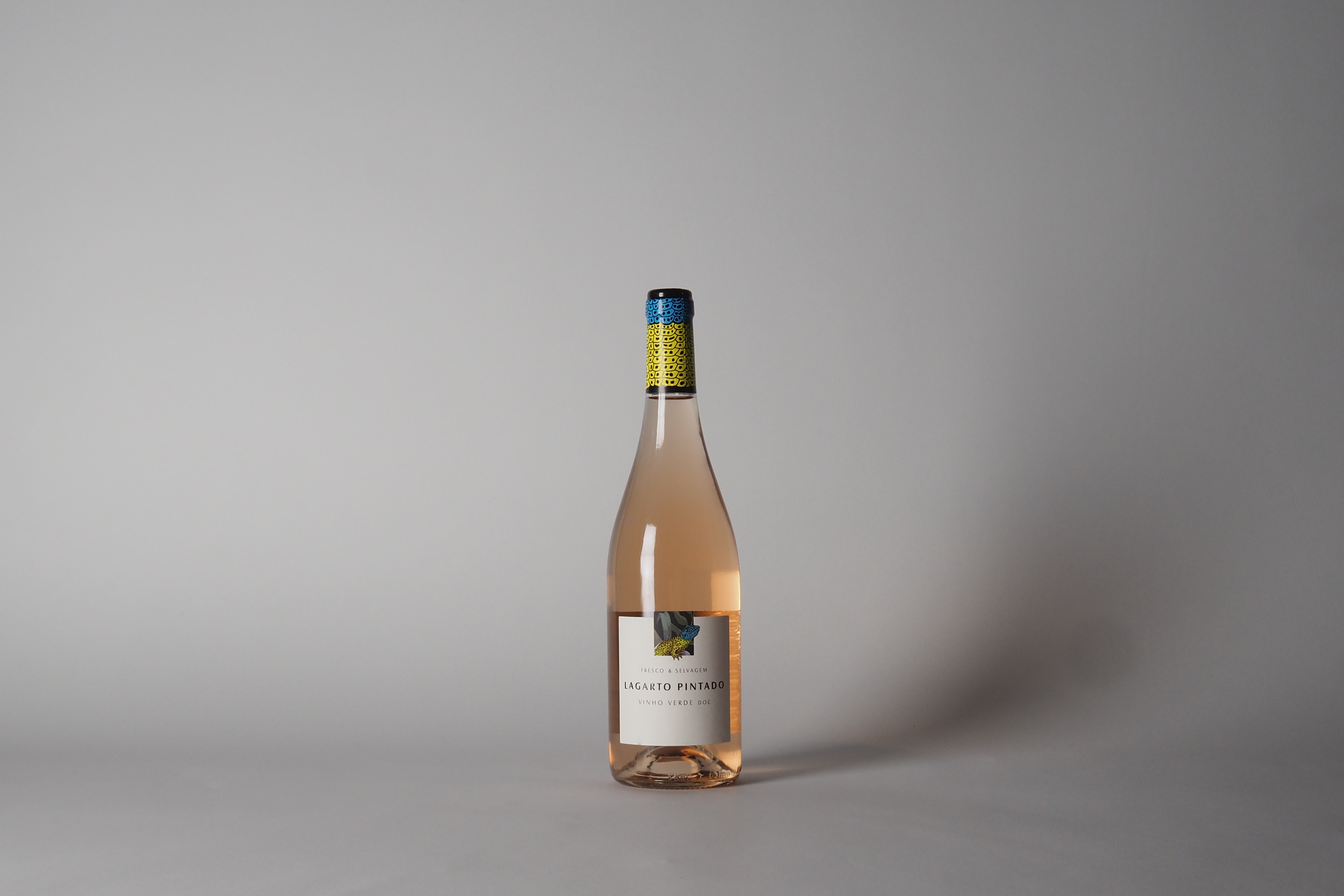 Lagarto Pintado 2024